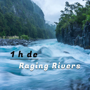 Orquesta Club Miranda的專輯Raging Rivers