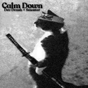 Album Calm Down from Dev Dvnsh