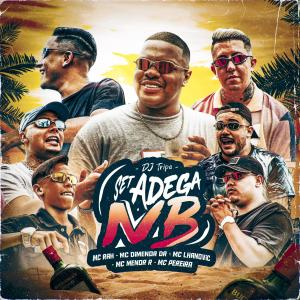 Listen to SET ADEGA NB (Explicit) song with lyrics from Mc Dimenor DR