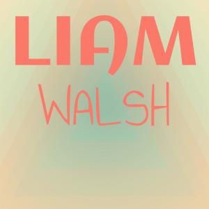 อัลบัม Liam Walsh ศิลปิน Various