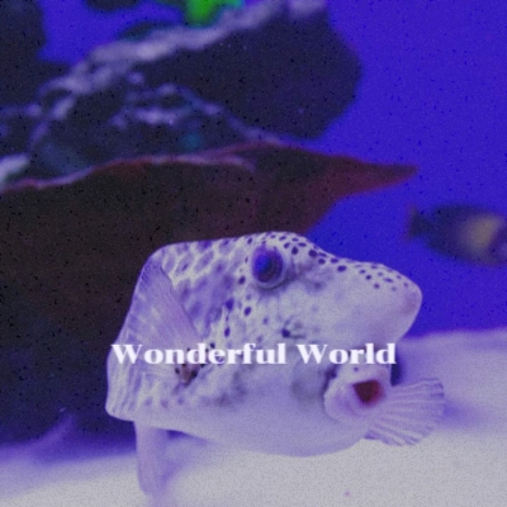 Wonderful World