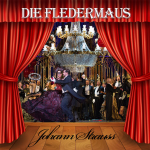 Album Johann Strauss - Die Fledermaus oleh Anny Schlemm