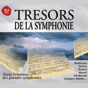收聽Fritz Reiner的Symphony No. 9 in E Minor, Op. 95 "From the New World": Allegro con fuoco歌詞歌曲