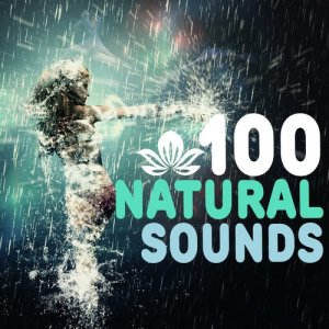 ดาวน์โหลดและฟังเพลง Contry Birds พร้อมเนื้อเพลงจาก Outside Broadcast Recordings