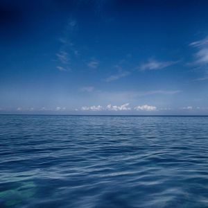 收聽Sleep Sounds of Nature的Relax歌詞歌曲