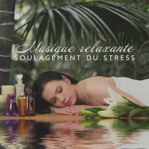 ดาวน์โหลดและฟังเพลง Musique pour le bien-être (Temps de massage) พร้อมเนื้อเพลงจาก Ensemble de Musique Zen Relaxante