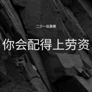 Album 你会配得上劳资 from 二少一岳晟德