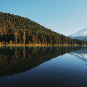 Album Affirming Songs | Mystical Spa & Serenity oleh Study Music