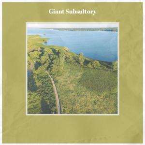 Album Giant Subsultory from 
