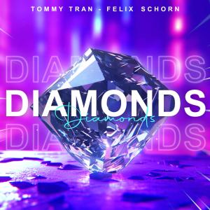 Felix Schorn的专辑Diamonds (Techno)