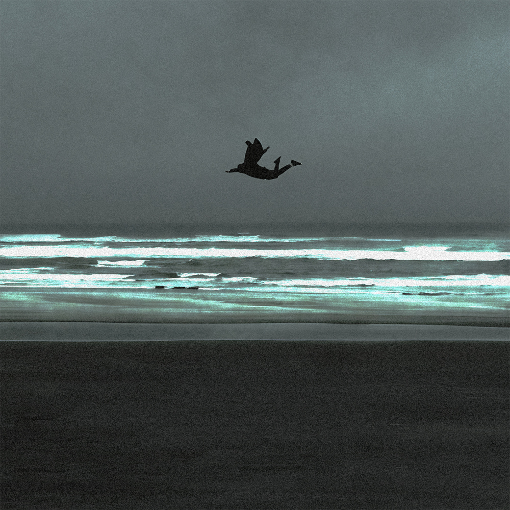 Flyingfish