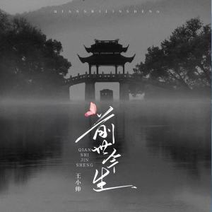 王小帅的专辑前世今生