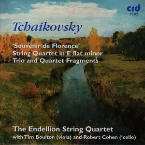 ดาวน์โหลดและฟังเพลง Sting Quartet No.3 in E flat minor, Op.30: Andante funebre e doloroso พร้อมเนื้อเพลงจาก The Endellion String Quartet