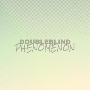 อัลบัม Doubleblind Phenomenon ศิลปิน Various