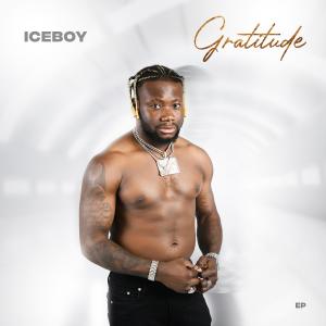 อัลบัม Gratitude (EP) ศิลปิน Iceboy IBM