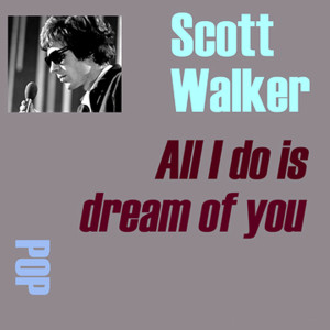 收聽Scott Walker的Anything Will Do歌詞歌曲