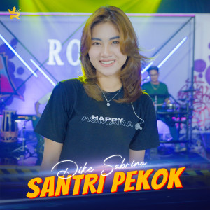 收听Dike Sabrina的Santri Pekok (Cover)歌词歌曲