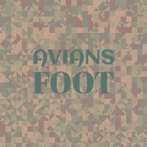 Album Avians Foot from Various