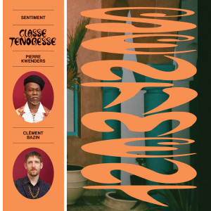 Album Sentiment from Clément Bazin