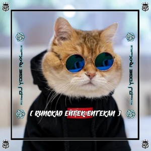 DJ RUNGKAD ENTEK ENTEKAN JEDAG JEDUG (Remix)