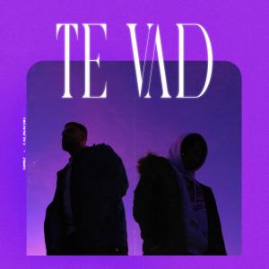 Listen to Te Vad (Explicit) song with lyrics from Simiz