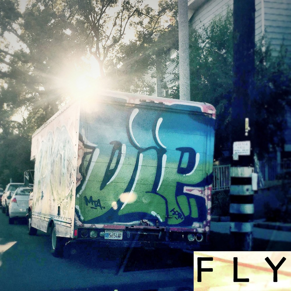 Fly