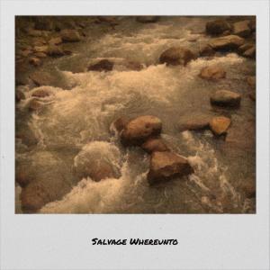 Various Artists的專輯Salvage Whereunto