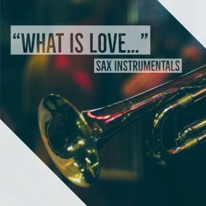Listen to Nothing Compares 2 U song with lyrics from Settle Down With Sax