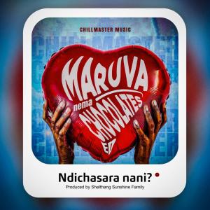 Chillmaster Music的專輯Ndichasara Nani ?
