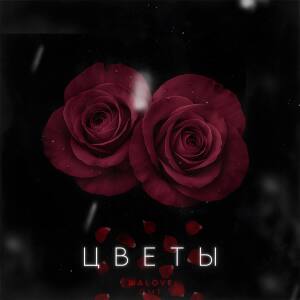 Album Цветы (Explicit) from OMT
