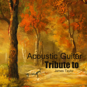 收聽Acoustic Guitar Tribute Players的You've Got a Friend歌詞歌曲
