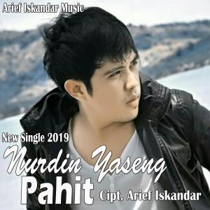 Dengarkan Pahit lagu dari Nurdin Yaseng dengan lirik