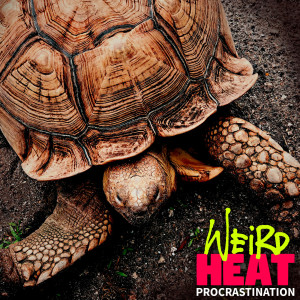 Album Procrastination from Brian Altano