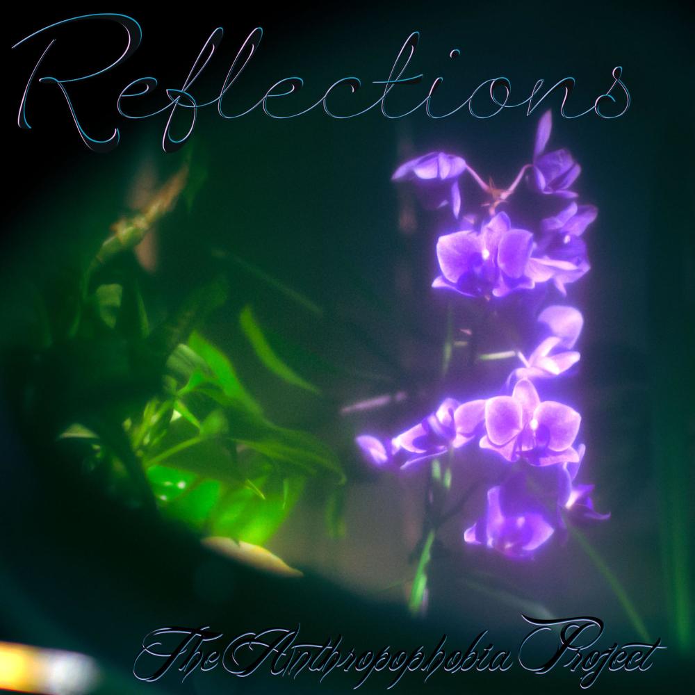 Reflections