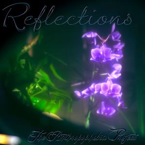 收聽The Anthropophobia Project的Reflections歌詞歌曲