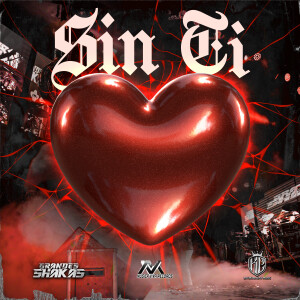 的專輯SIN TI