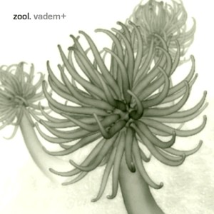 ดาวน์โหลดและฟังเพลง Fake Log พร้อมเนื้อเพลงจาก Zool