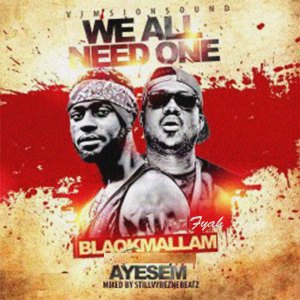 Listen to We All Need One song with lyrics from Blaqkmallam Fyah