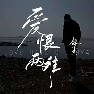 Album 爱恨两难 (DJ豪大大版) from 魏佳艺