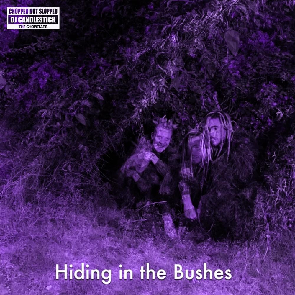 Hiding in the Bushes (Chopnotslop Remix|Explicit)