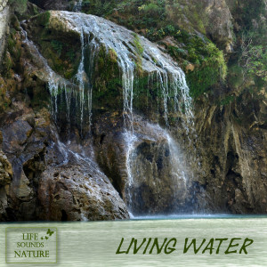 Dengarkan lagu Just the Ocean - Waves for Deep Breathing nyanyian Life Sounds Nature dengan lirik