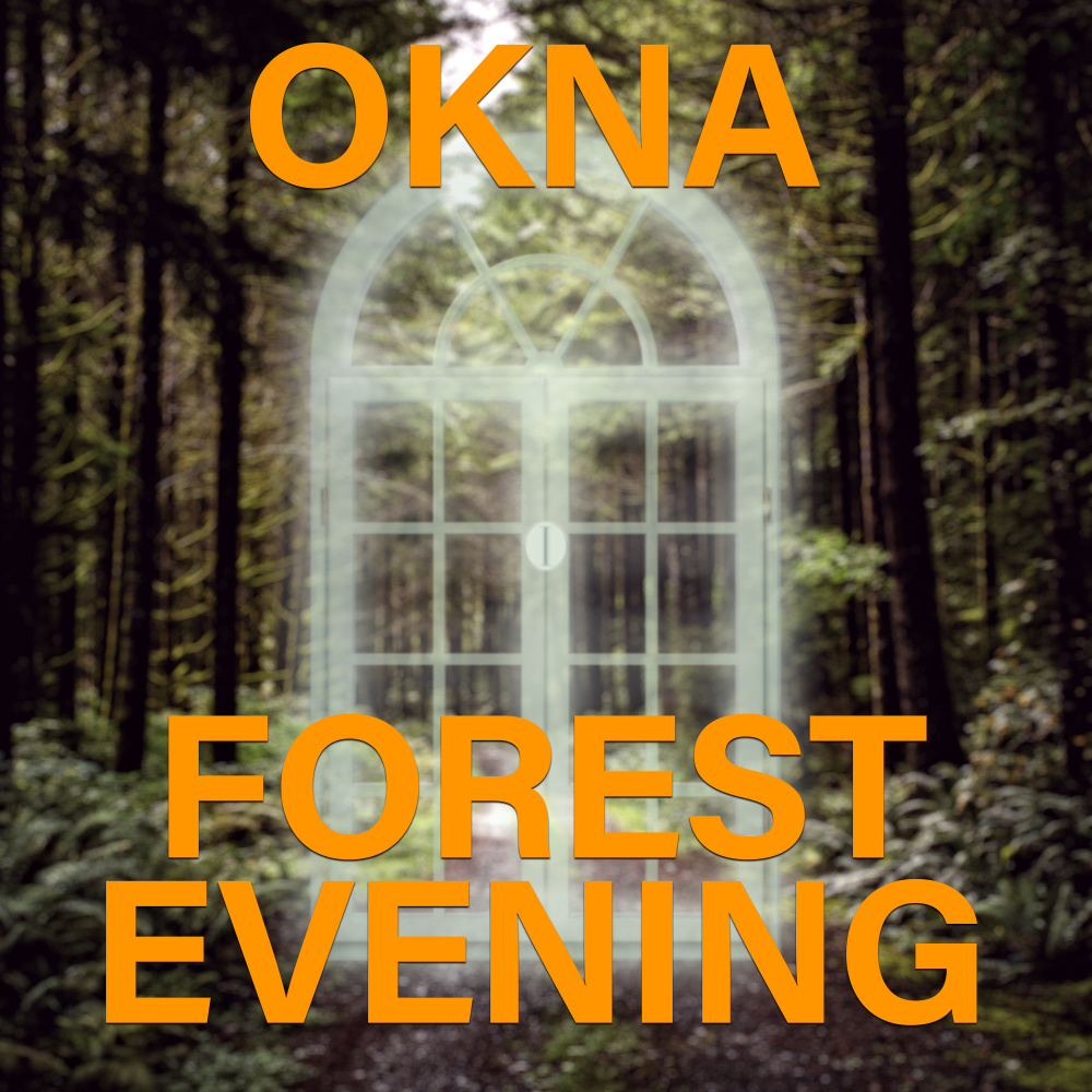 Forest Evening