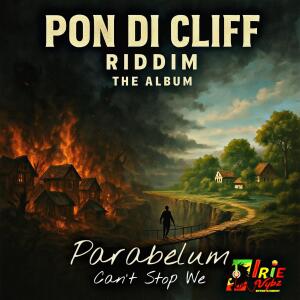 อัลบัม Can't Stop We (feat. Parabelum) [Explicit] ศิลปิน 