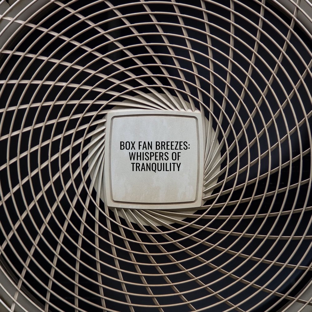 Box Fan Breezes: Whispers of Tranquility