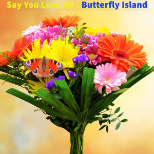 收聽Butterfly Island的Say You Love Me歌詞歌曲
