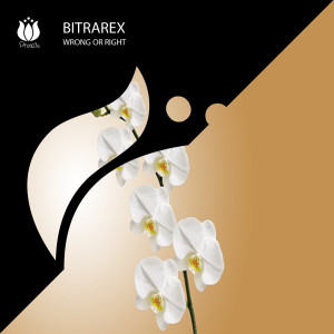 Listen to Wrong Or Right song with lyrics from Bitrarex