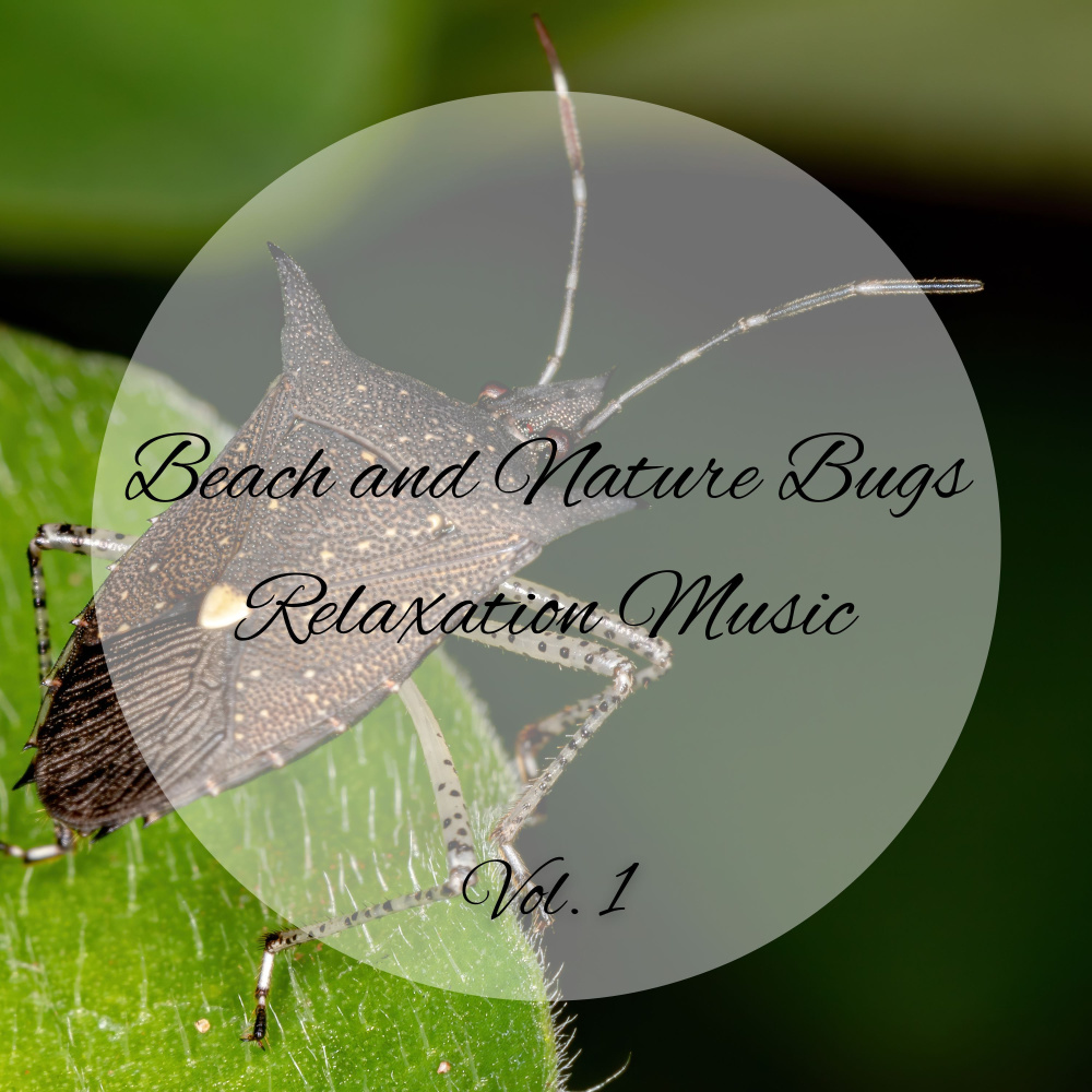 Beach and Nature Bugs Relaxation Music Vol. 1 - 2 Hours