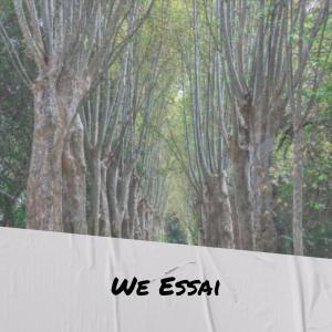 Various的专辑We Essai
