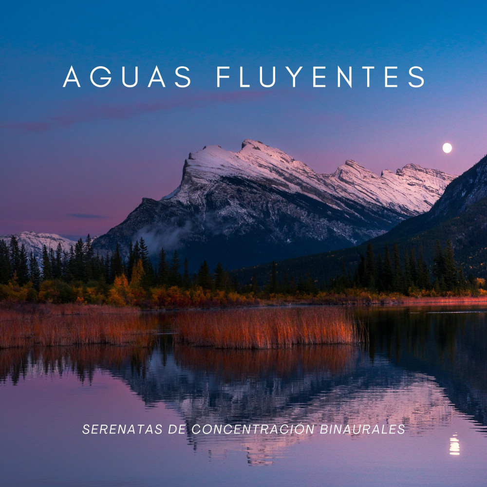 Claridad Interior Junto Al Agua