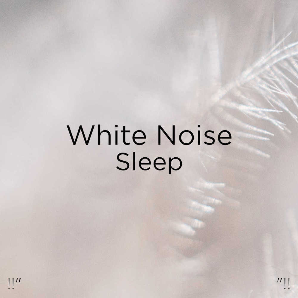 Fan White Noise